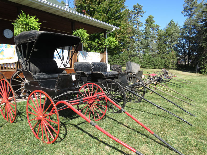 Buggies